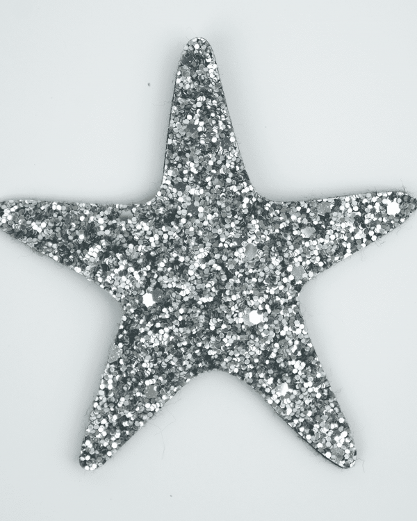 Glitter Deni̇z Yıldızı Toka